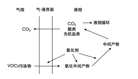 1663040122963646.jpg 2.jpg