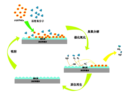 1743406134645008.jpg 1743406137618.jpg